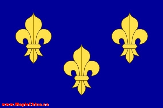 法国国旗上的花图片
